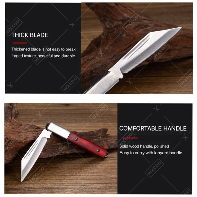 Stainless Steel Pocket Knife R - Kitchen Gadgets Latest ulasan dan harga