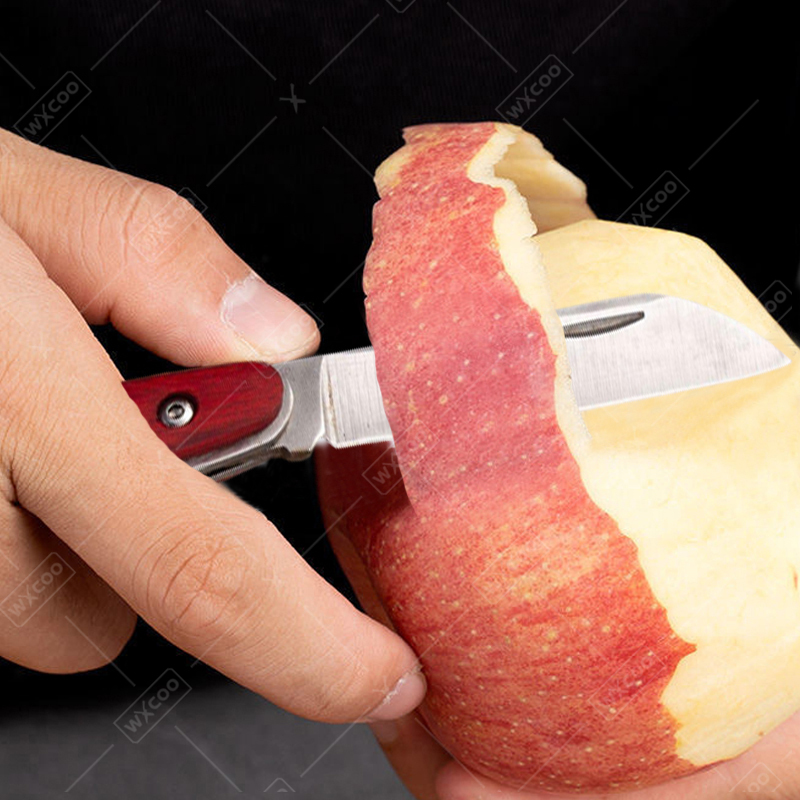 Stainless Steel Pocket Knife R - Kitchen Gadgets Latest ulasan dan harga