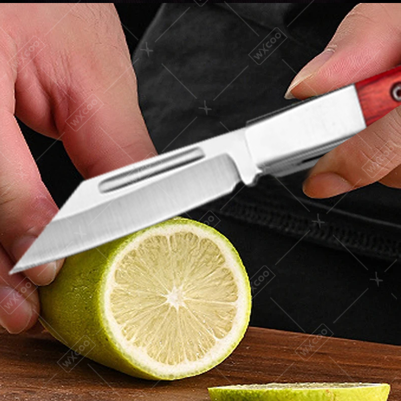 Stainless Steel Pocket Knife R - Kitchen Gadgets Latest ulasan dan harga